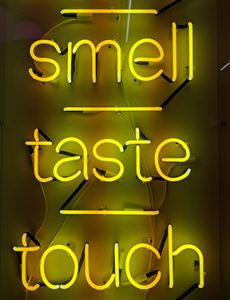 neon lights that read smell / taste / touch